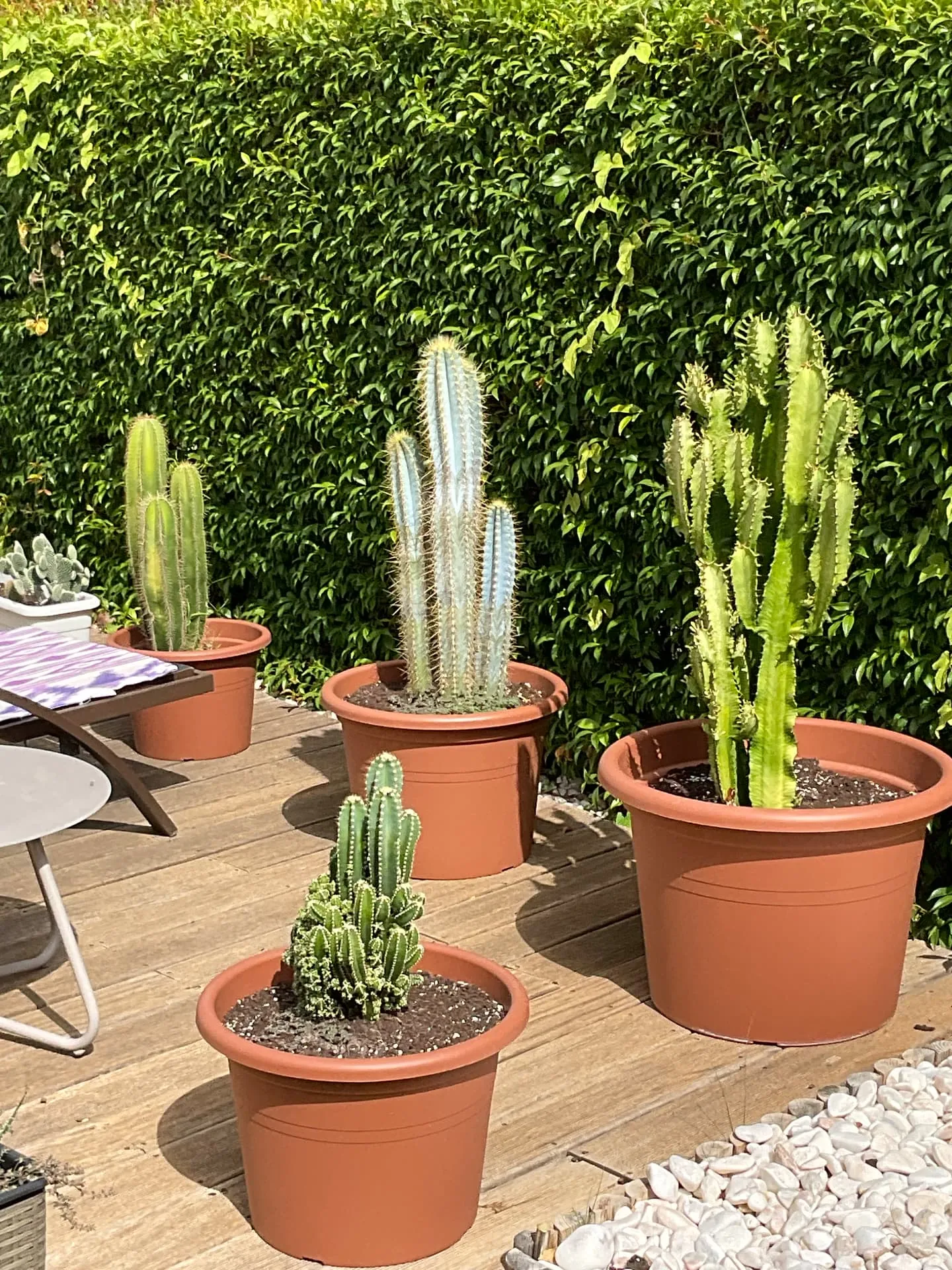 Terrace planting — Vilamoura project