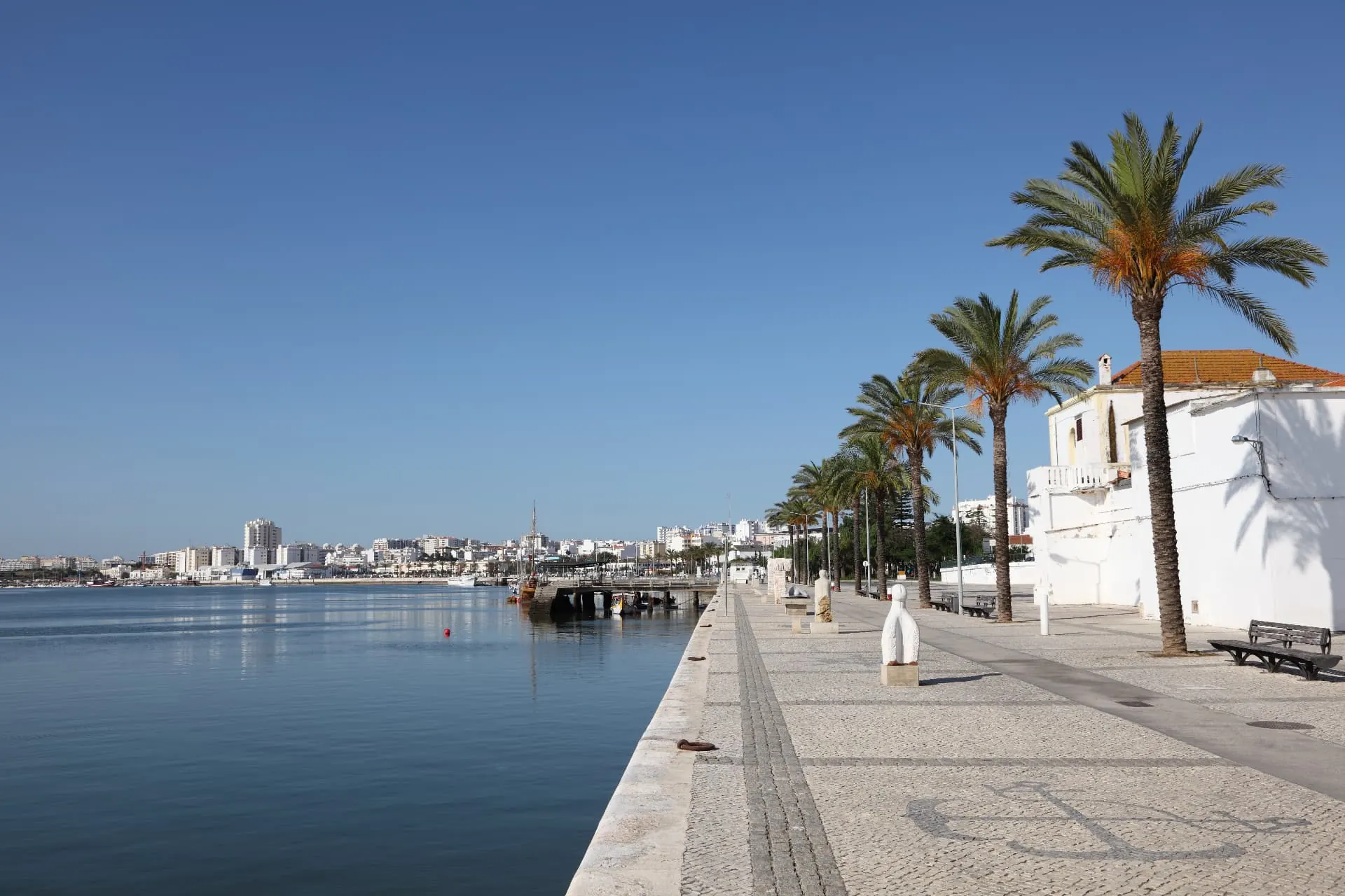 Portimão waterfront promenade with palm trees beside the bay
